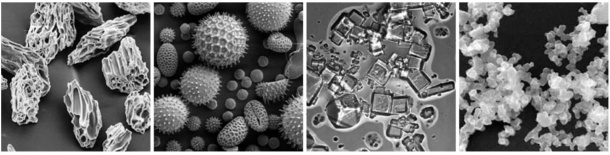 Abb. 1: Arten von Aerosolen unter dem Elektronen-Mikroskop (von links nach rechts): vulkanische Asche, Pollen, Meersalz, Ruß (NASA Earth Observatory, 2010)