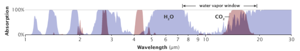 Abb.1: Absorption von Wärmestrahlung in Abhängigkeit von der Wellenlänge durch Wasserdampf (blau) und CO2 (rot). Angegeben in Prozent: 100 % bedeutet die vollständige Absorption der Wärmestrahlung (NASA Earth Observatory, 2009). 
