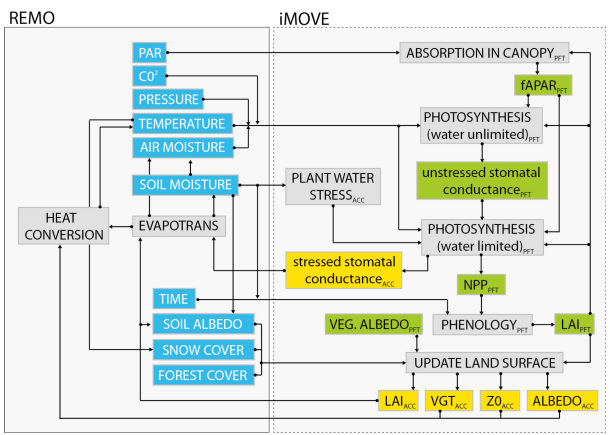 Abbildung 1: Interaktive Kopplung von REMO mit Vegetationsmodulen von JSBACH