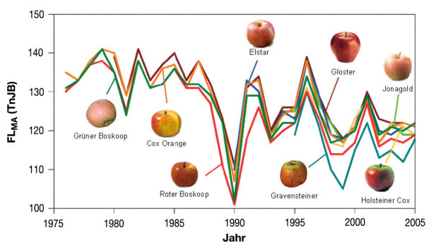 Abb. 16: Beginn der Apfelblüte (FLMA) für verschiedene Sorten im Alten Land, 1976-2005, TnJB: Tage nach Jahresbeginn, nach Chmielewski et al. 2009 (aus: Chmielewski 2011)