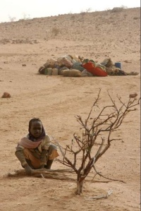 Über 180.000 Sudanesen sind vor der Gewalt in der Provinz Darfur geflüchtet und haben die Grenze zur abgelegenen Wüstenregion des östlichen Tschad überquert. © UNHCR / H.Caux